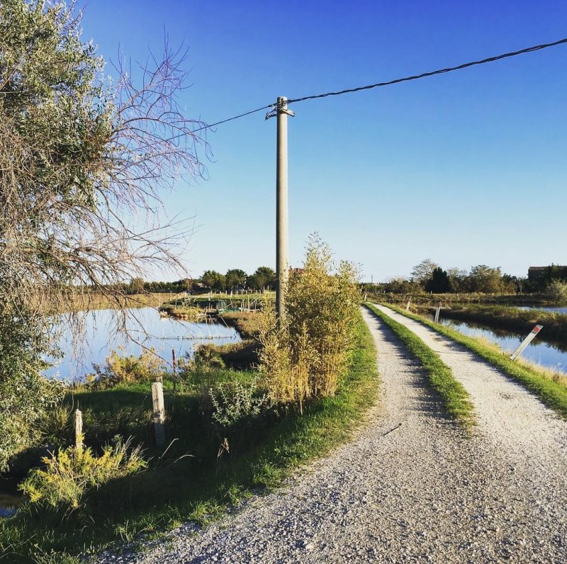 Rode through the laguna, found some strade bianci.