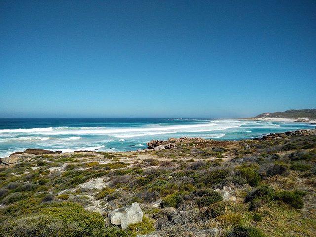 Rode down to cape point. Panoramic views all the way.